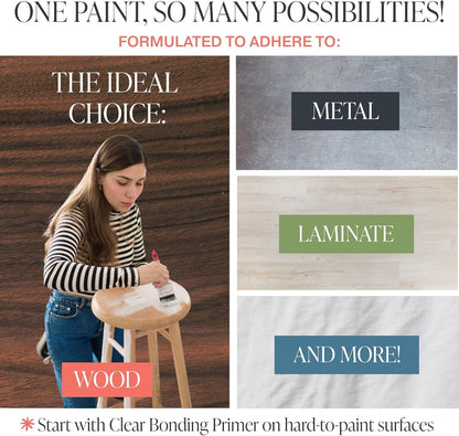 Country Chic All-In-One Chalk Paint for Furniture, Cabinets, Home Decor, Eco-Friendly, Matte Finish, Built-In Primer & Top Coat for Wood, Metal - Driftwood (Brown) - Pint 16 Oz (475 Ml)