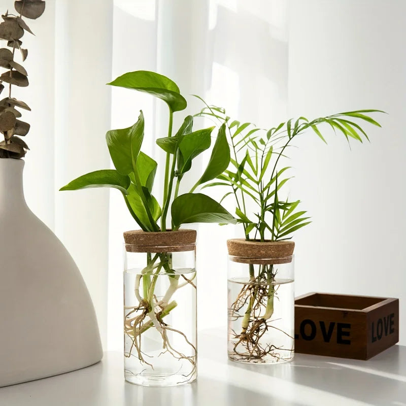 Glass Hydroponic Plant Propagation Vase for Desktop Decor