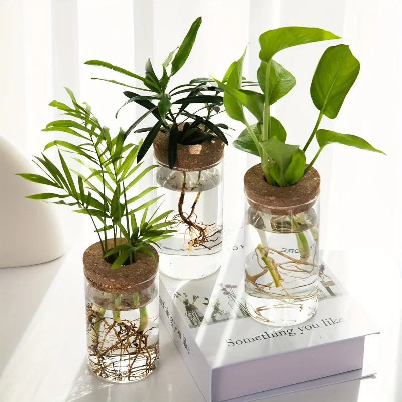 Glass Hydroponic Plant Propagation Vase for Desktop Decor