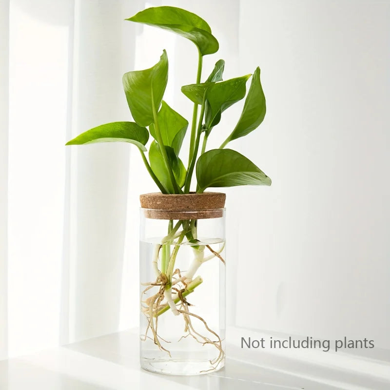 Glass Hydroponic Plant Propagation Vase for Desktop Decor